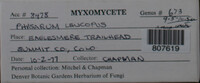 Image Associated With the Occurence